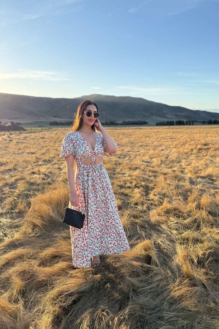 Shona Joy Dress