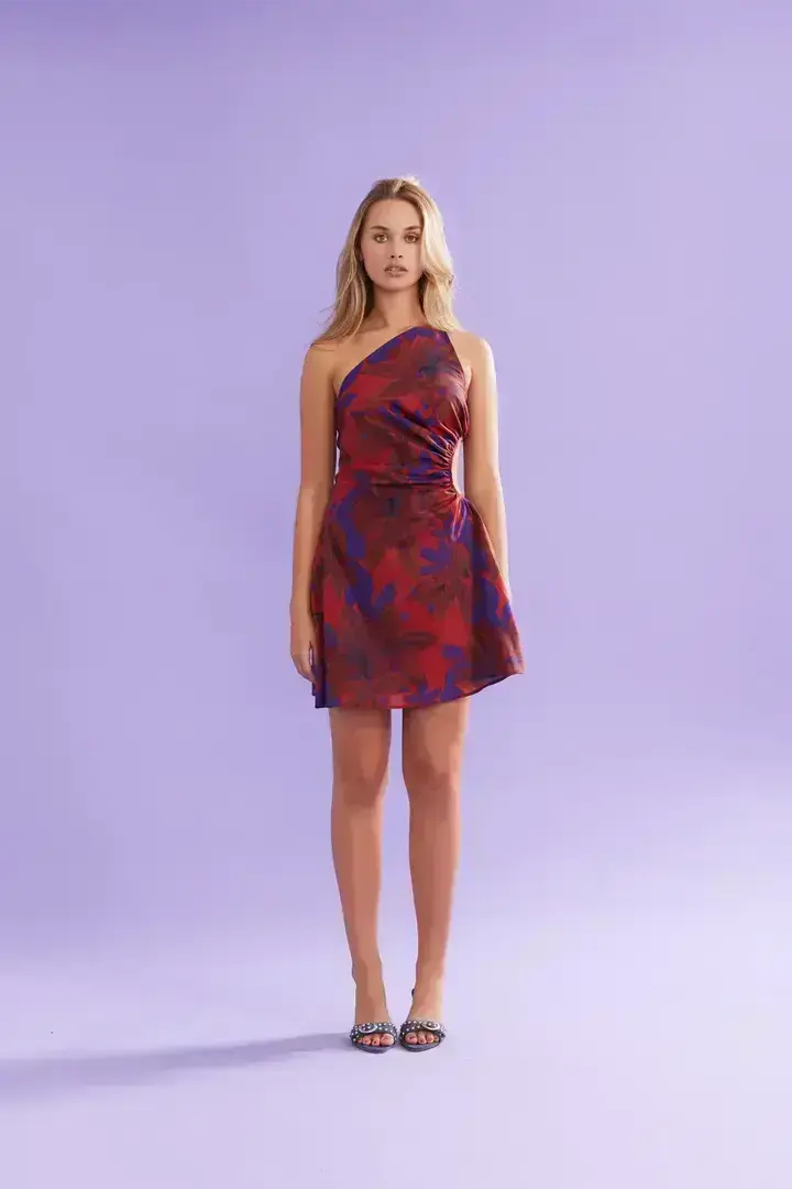 Ruby Bettina Mini Dress