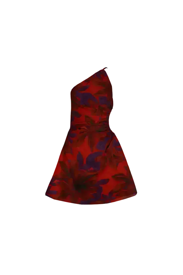 Ruby Bettina Mini Dress